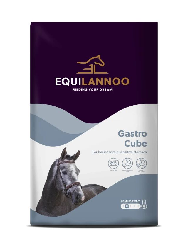 Gastro Cube 20 kg - Granulat dla koni wrzodowych skłonnych do kolek