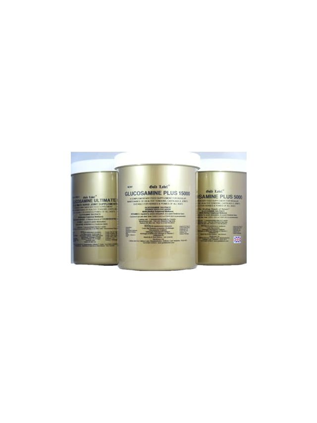 Glucosamine Plus 15000 - zdrowe stawy 900g