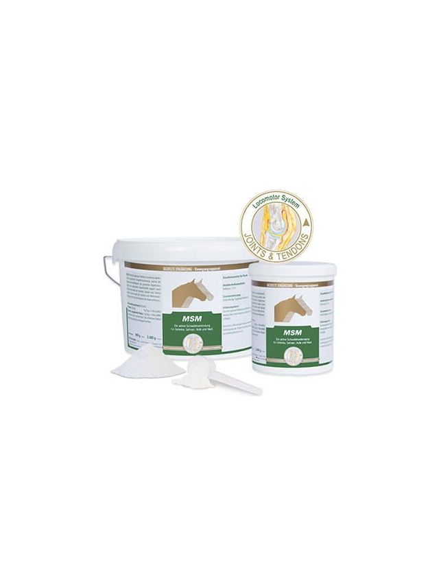 Equipur Msm 800g