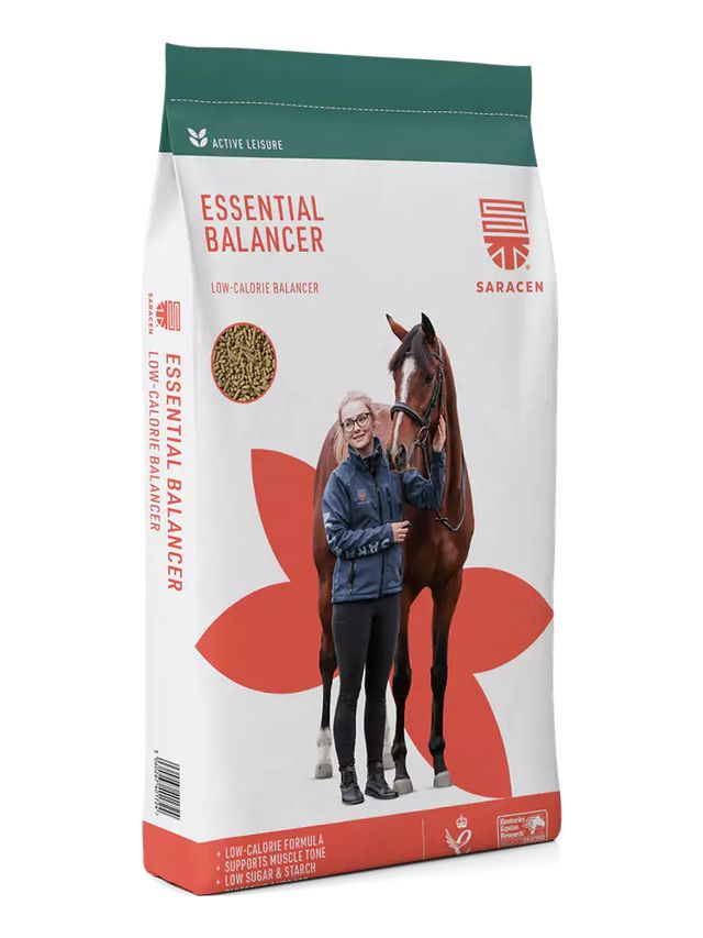 SARACEN Essential Balancer 20kg