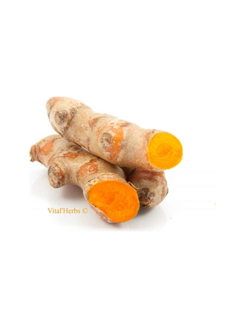Curcuma 1 image