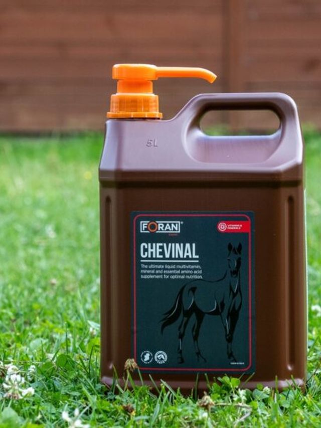 Foran Chevinal 2,5 L-suplement multiwitaminowy z minerałami i aminokwasami w postaci syropu
