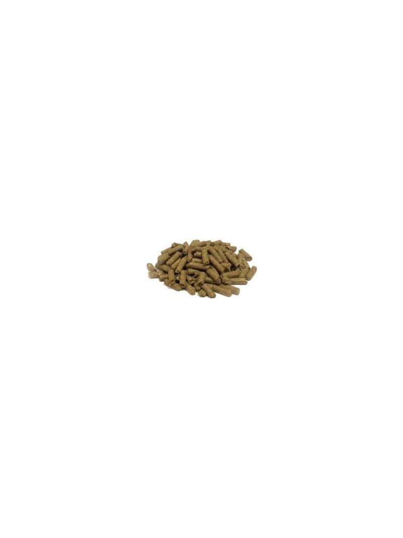 Gastro + 20kg granulat przeciwkolkowy, wspomaga naturalne trawienie