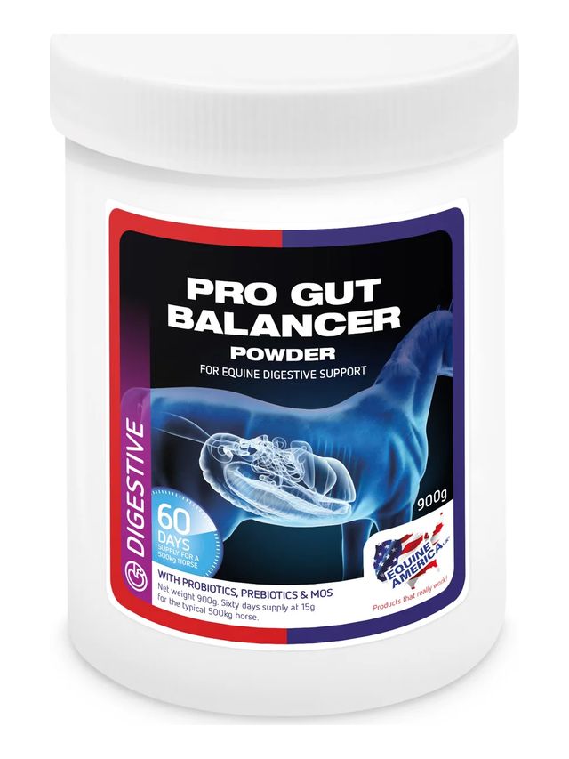 Prod koń zdrowie Pro gut balancer