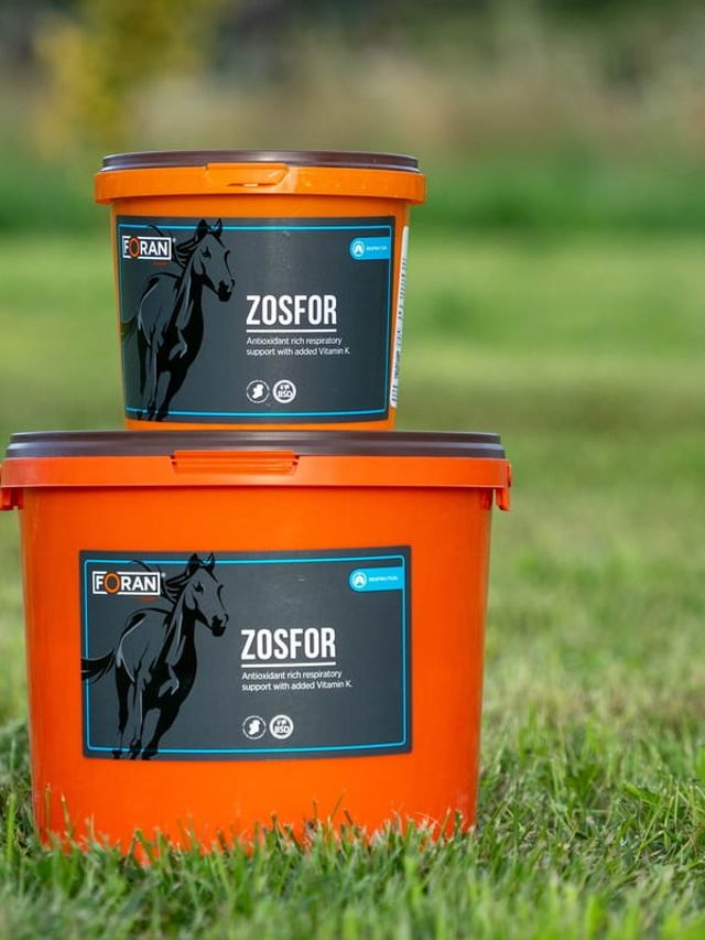 Foran Zosfor