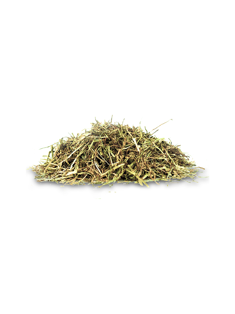 HARTOG Lucerne Mix 18kg olejowana lucerna ze źdźbłami zielonego owsa