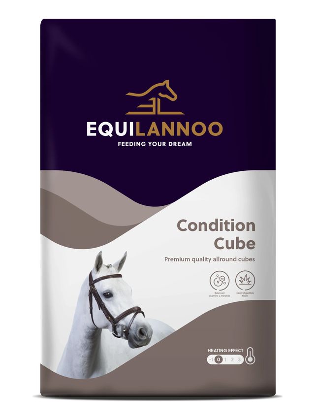 Condition Cube 20 kg - Podstawowy granulat wysokiej jakości