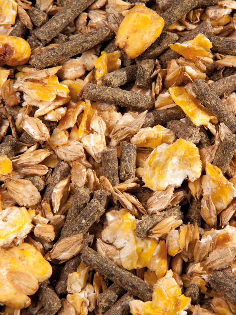 COOL MÜSLI 20KG - LEKKA PRACA, KONIE W SPOCZYNKU