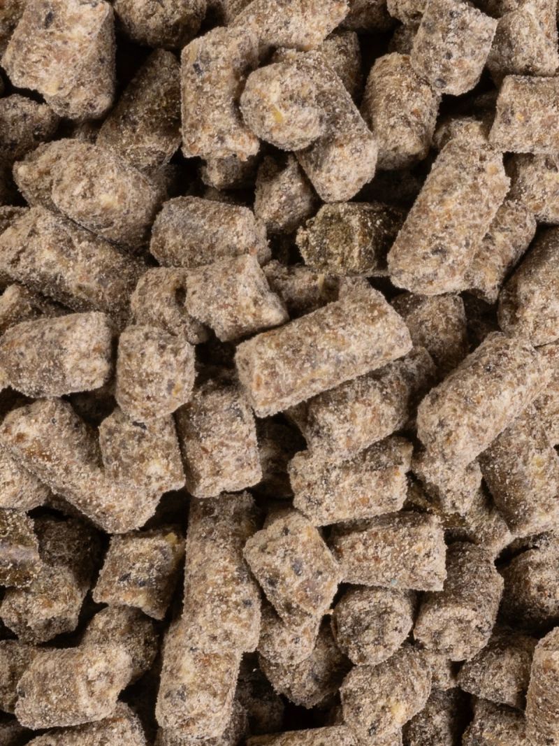 Equilannoo Muscle Plus, zbliżenie granulatu