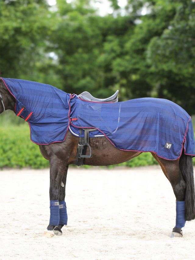 Prod York derka treningowa LYRA r 145cm2
