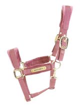 Kentucky Kantar Velvet