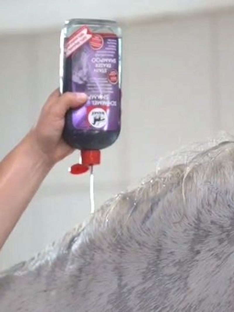 Big Szampon dla siwych koni LEOVET Stain Easer Shampoo 500ml