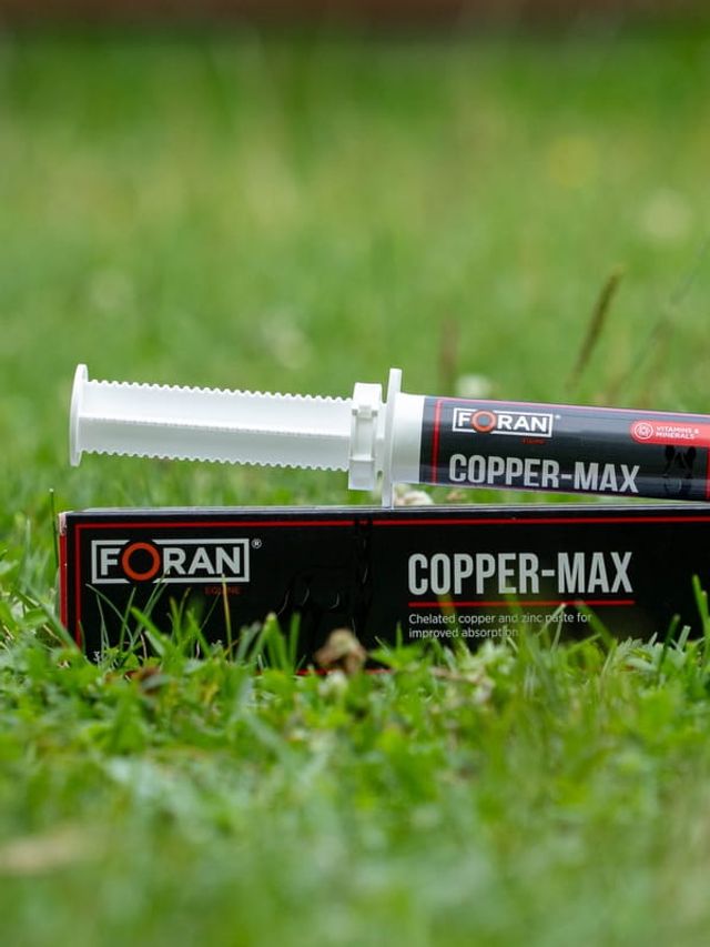 Foran Copper Max pasta