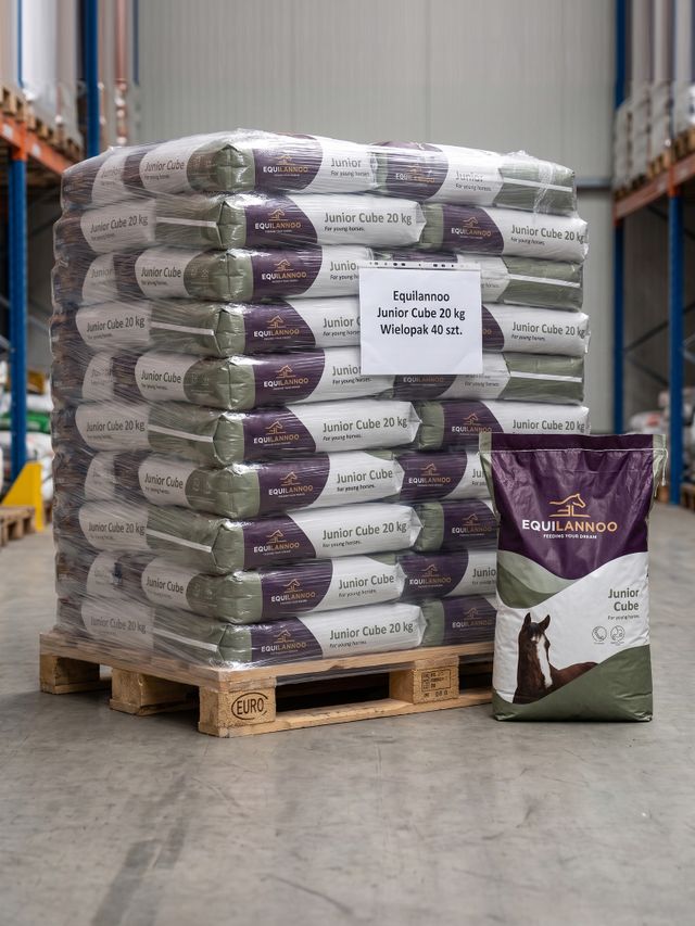 Wielopak - Junior Cube 20 kg - paleta 40 sztuk
