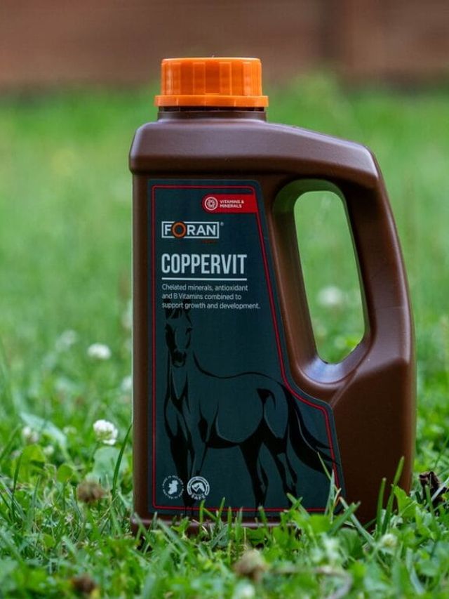 Suplement FORAN Coppervit