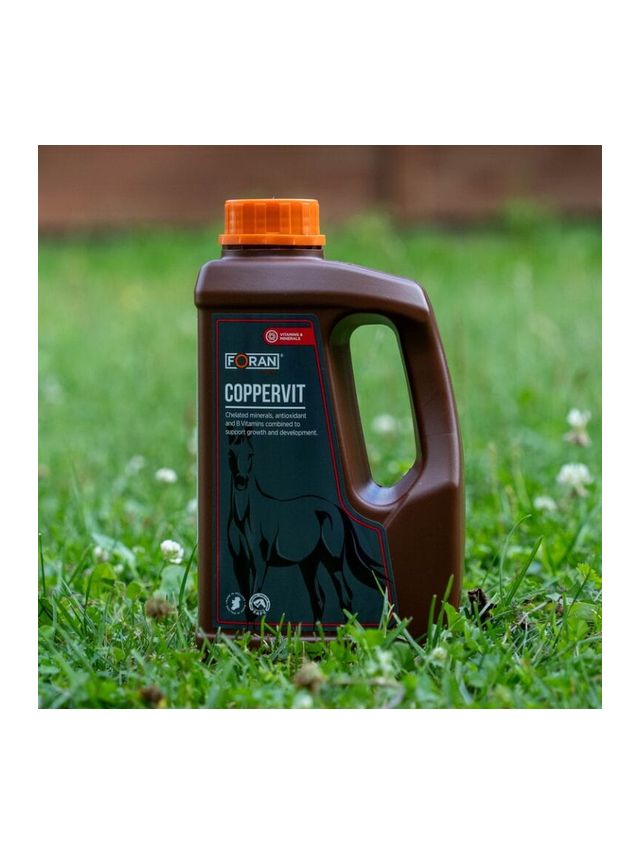 Suplement FORAN Coppervit