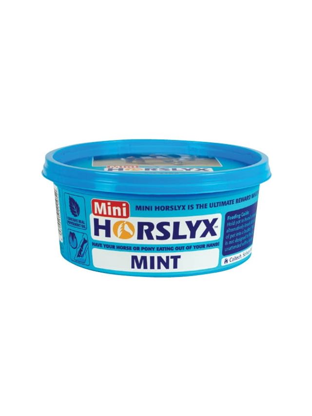 Lizawka HORSLYX Mint