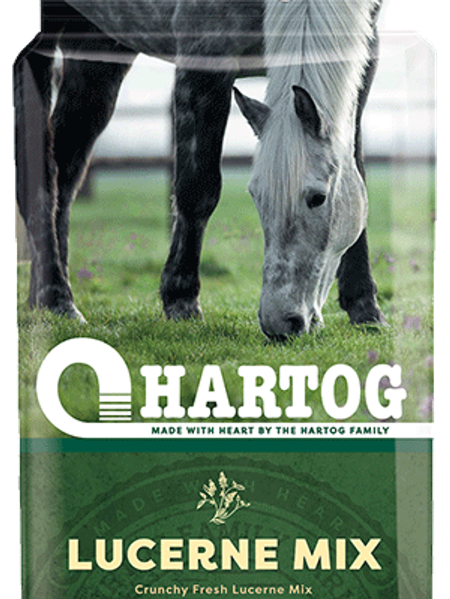 HARTOG Lucerne Mix 18kg olejowana lucerna ze źdźbłami zielonego owsa