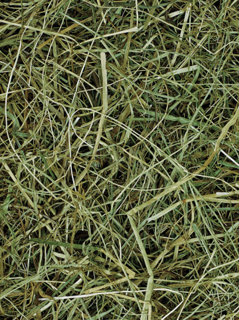 Jopack Top Hay 18 kg – siano łąkowe premium dla koni, bezpyłowe
