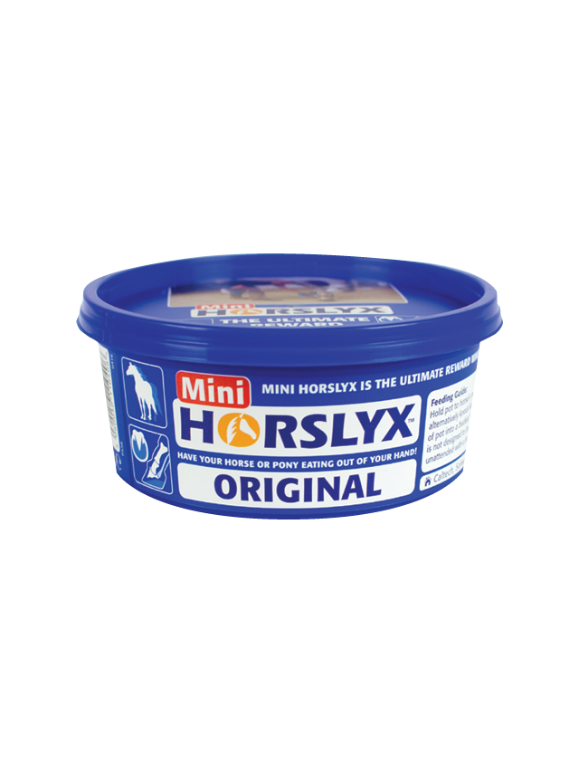 Lizawka HORSLYX Orginal