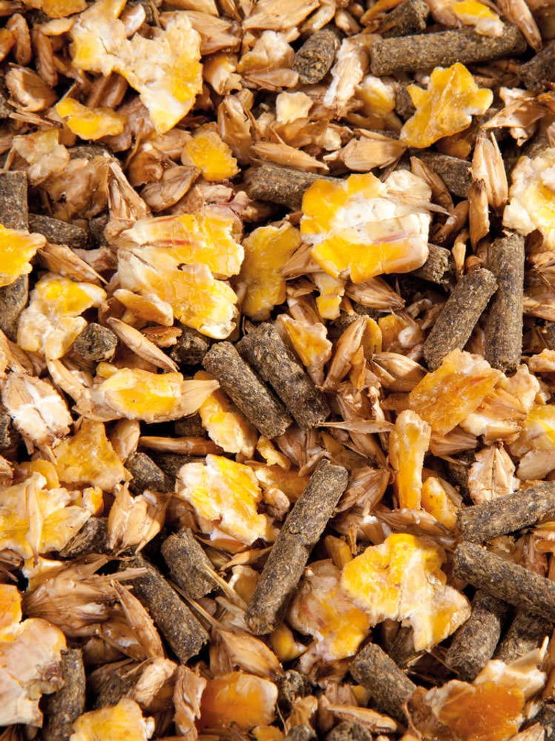 F MUSLI WELLNESS 25 KG