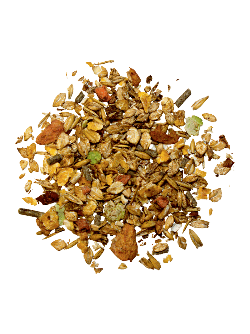 Senior Plus 20kg musli dla koni starszych