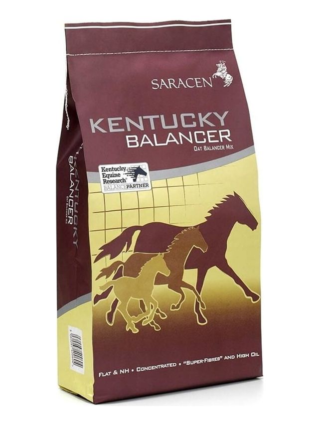 SARACEN Kentucky Balancer 20kg