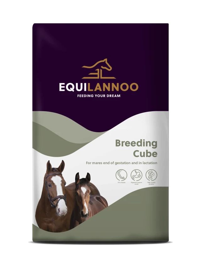 Breeding Cube 20 kg - Granulat dla klaczy pod koniec ciąży i w okresie laktacji
