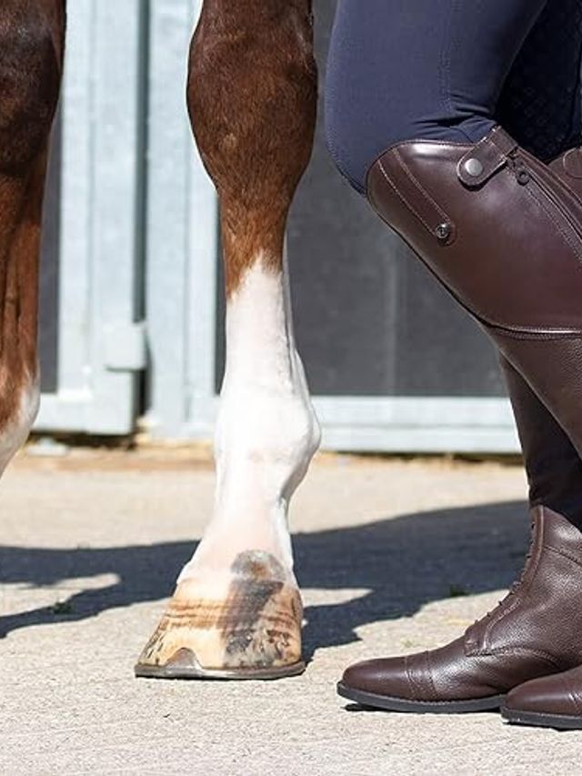 Oficerki Tamar Adult, brown