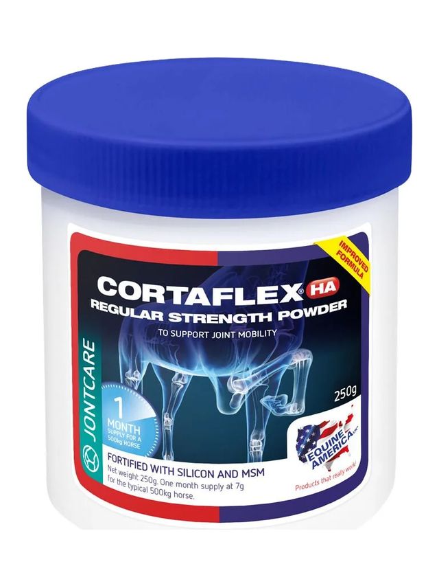Prod koń zdrowie regular strenght powder
