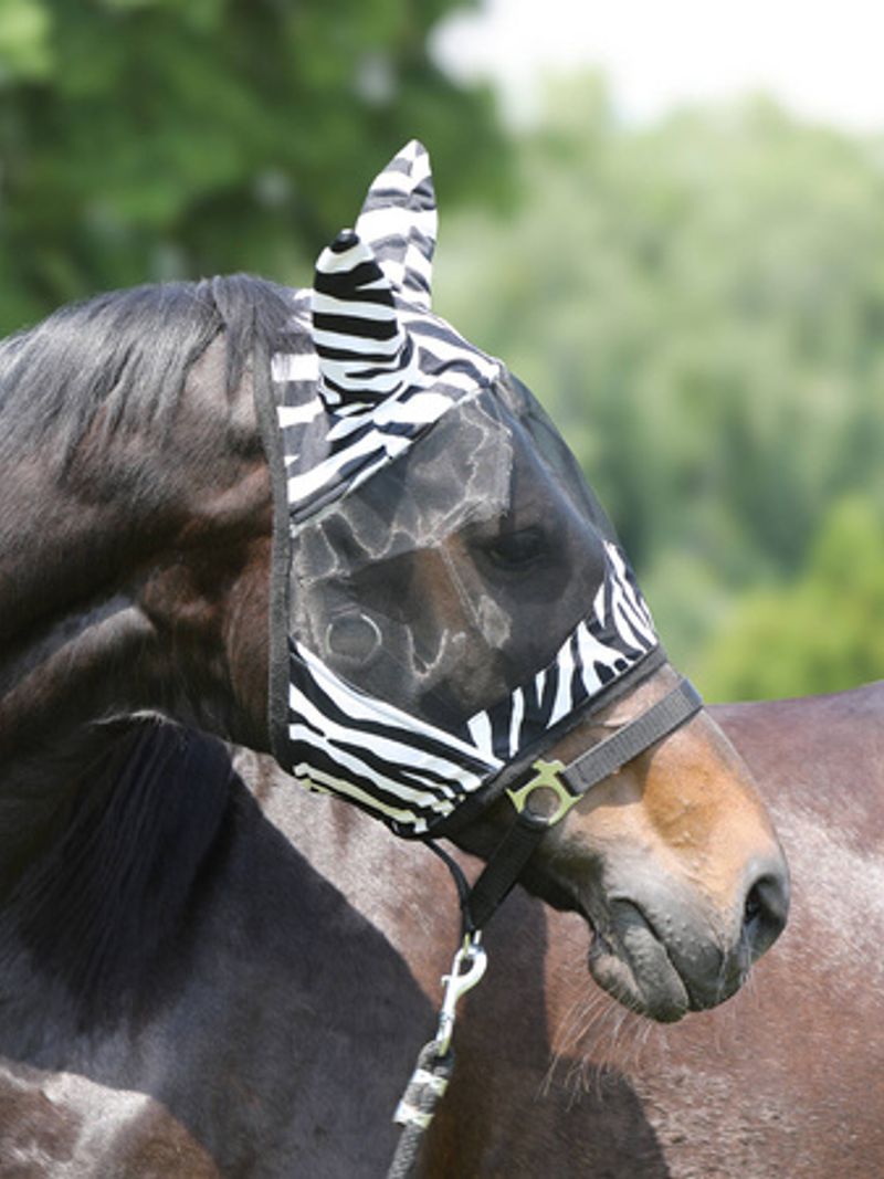 Pol pm Maska przeciw owadom York Zebra 15894
