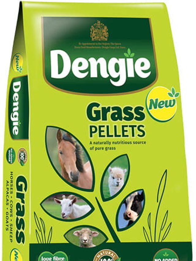 Dengie Grass Pellets 20kg