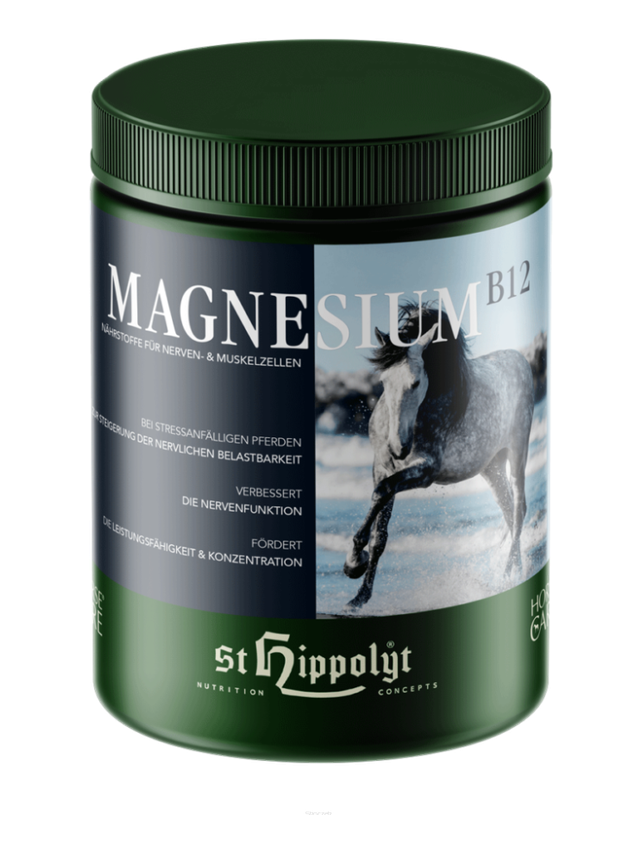 St.Hippolyt Magnesium B12 1kg