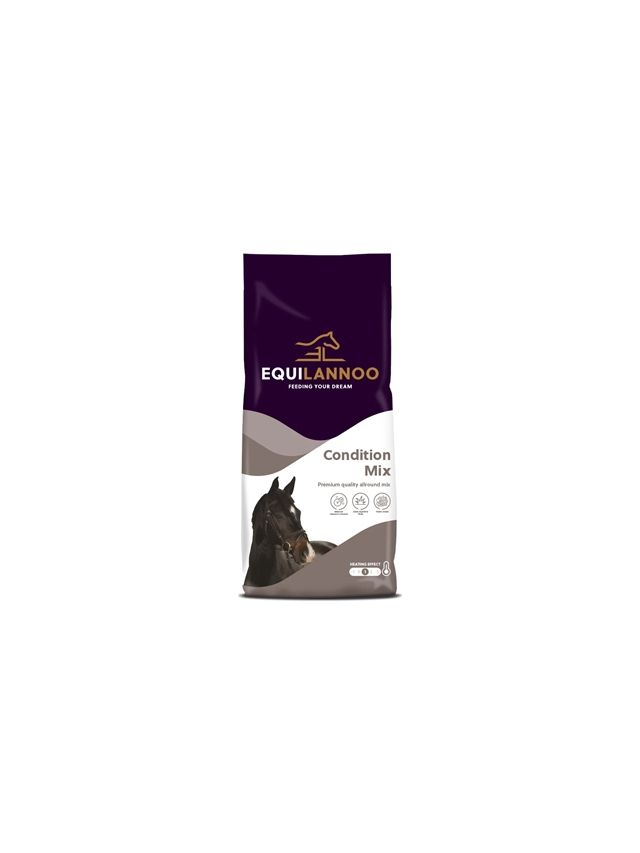 Condition Mix 20 kg - Podstawowe musli wysokiej jakości