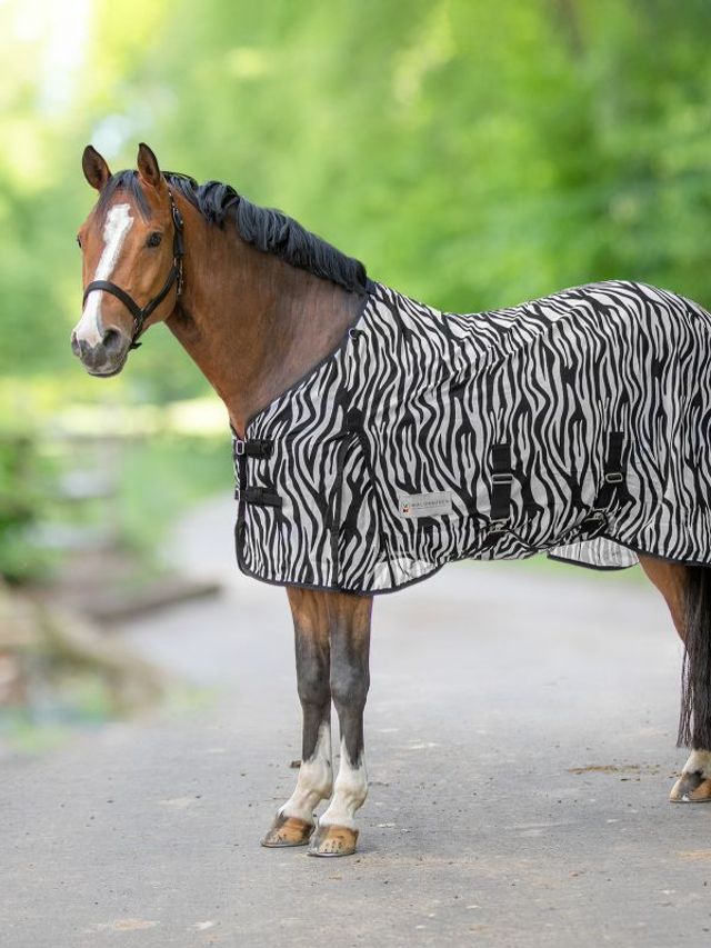 Derka na owady Zebra 155cm Waldhausen