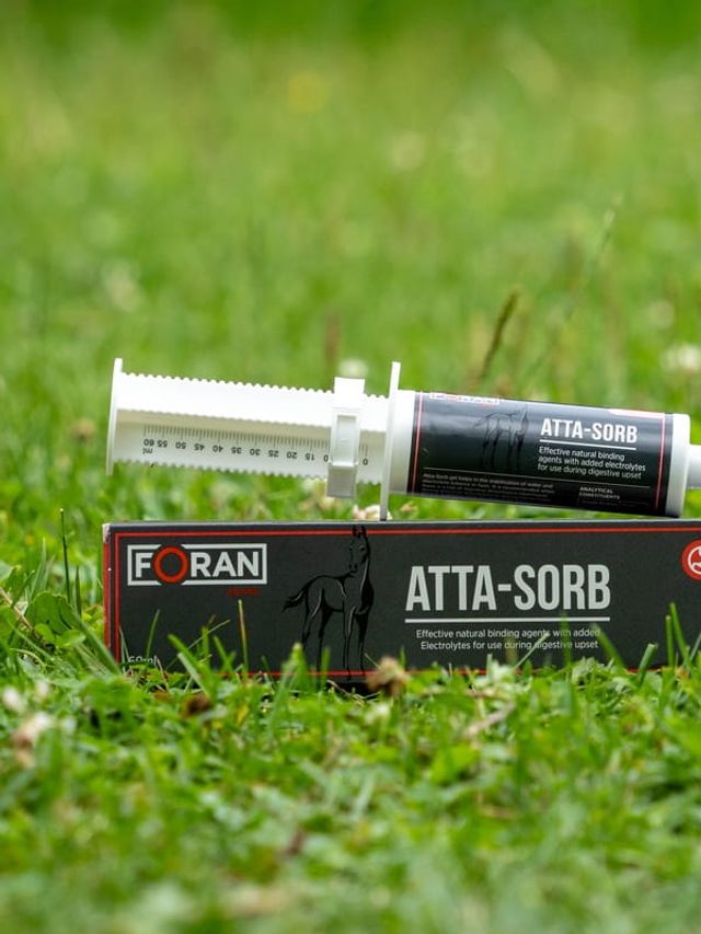 Foran Atta-Sorb pasta