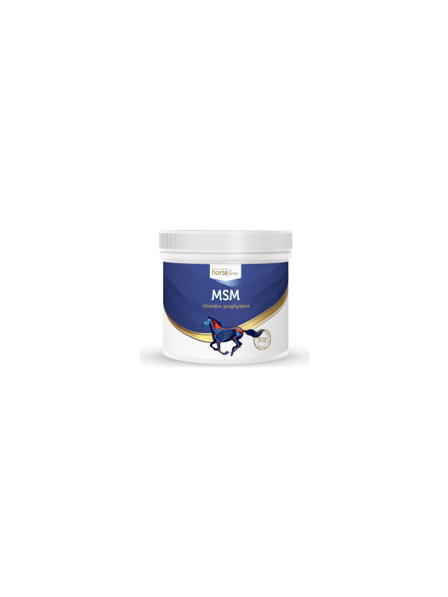 MSM 500g