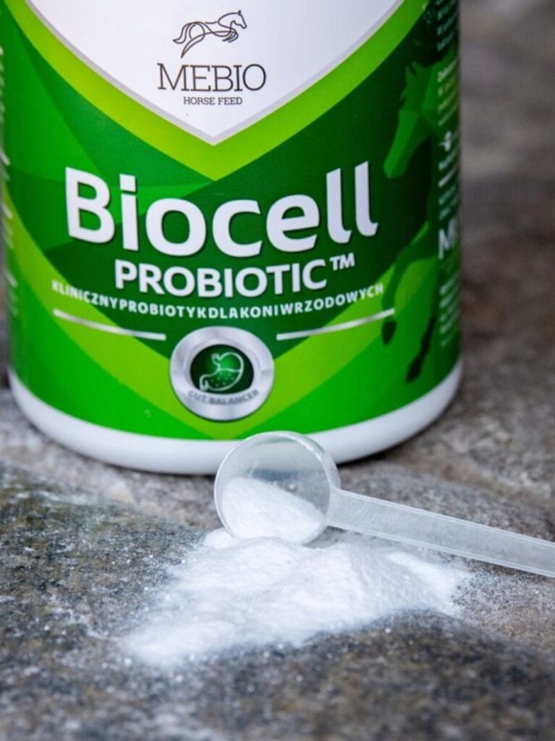 MEBIO BIOCELL COMPLEX probiotyk jelita trawienie dla koni horse 1 kg Marka Mebio